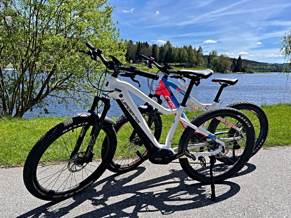 Dámská horská elektrokola Image