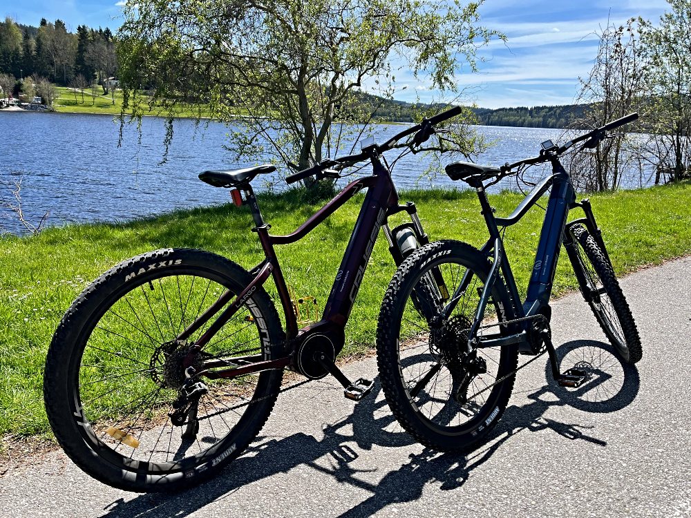 Pánská horská elektrokola Image